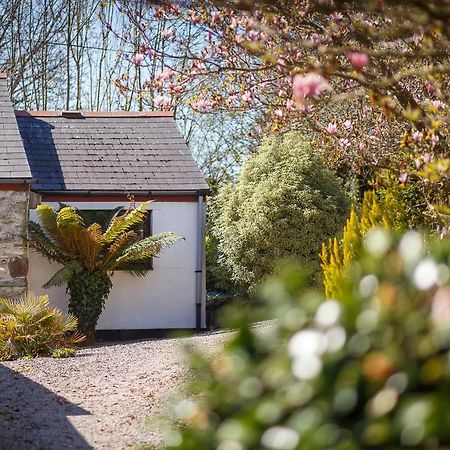 The Snug At Cornish Barn Holidays トルーロー エクステリア 写真
