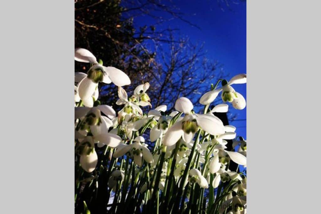 The Snug At Cornish Barn Holidays トルーロー エクステリア 写真