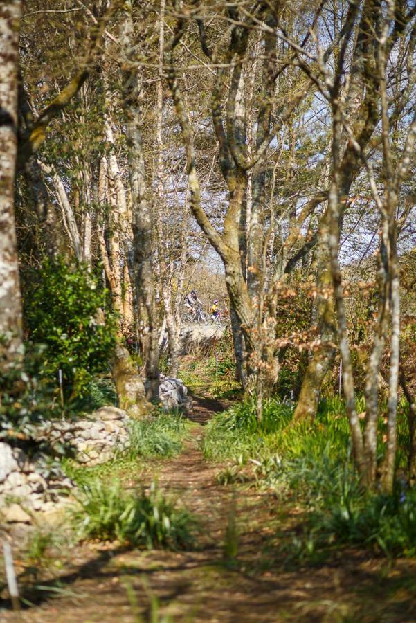 The Snug At Cornish Barn Holidays トルーロー エクステリア 写真
