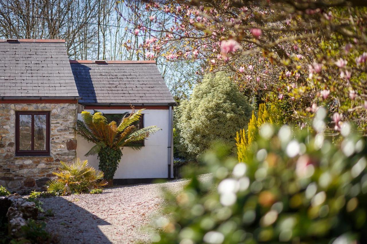 The Snug At Cornish Barn Holidays トルーロー エクステリア 写真